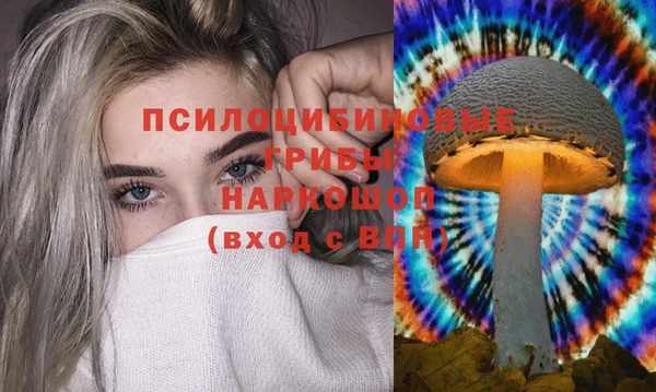 хмурый Абинск