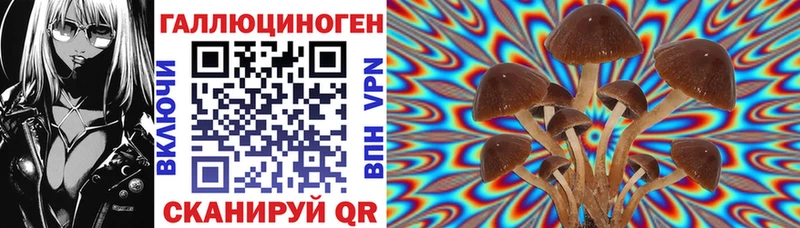 гидра маркетплейс  даркнет Telegram  Псилоцибиновые грибы MAGIC MUSHROOMS  Алейск 